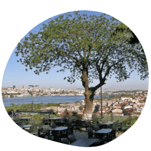 Where to visit in Istanbul: Places that only locals know about 15