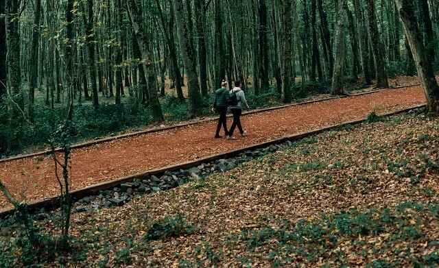 Belgrad Forest: Learn About This Popular Spot in 4 Areas 5