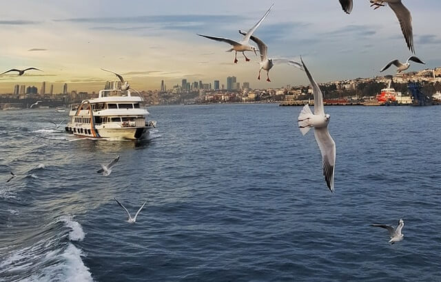 Importance of Bosphorus: Learn About the Beautiful Istanbul Strait in 4 Sections 5