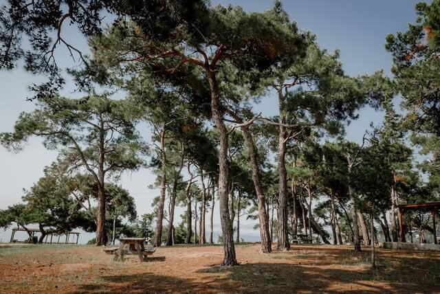 istanbul natural attractions