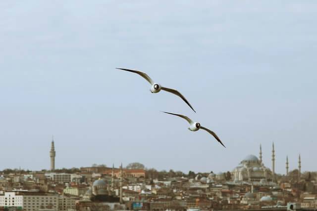 istanbul expat life