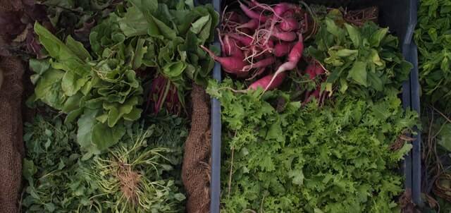 istanbul farmer's market