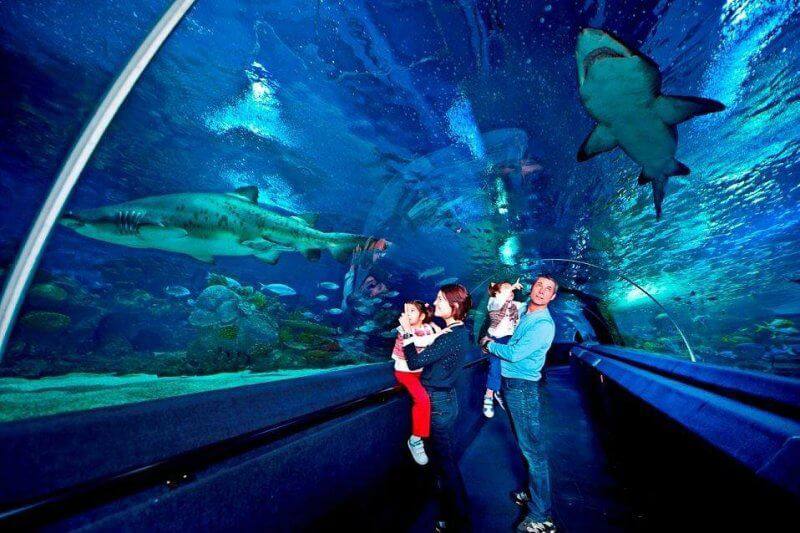 Akvaryum Sea Life İstanbul