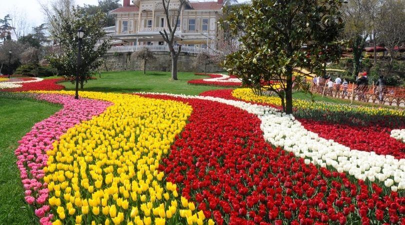 The Istanbul Tulip Festival - Enjoy Beauty Of Istanbul