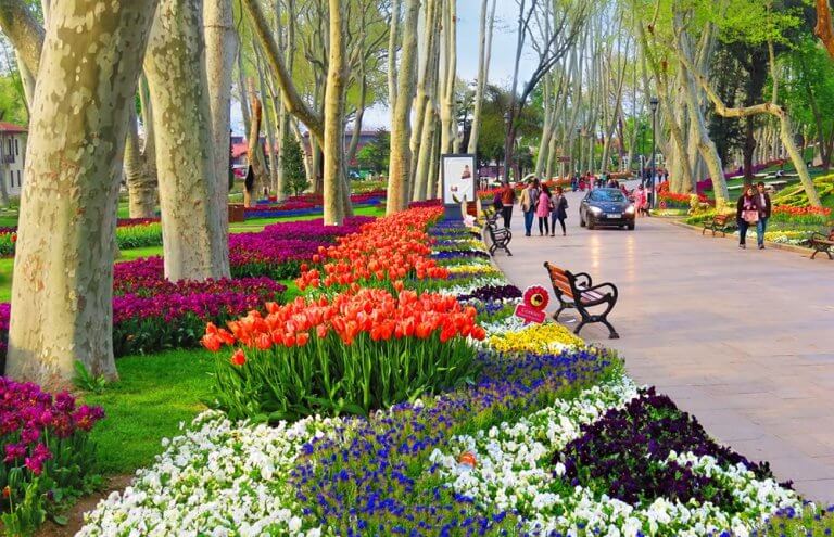 The Istanbul Tulip Festival - Enjoy Beauty Of Istanbul