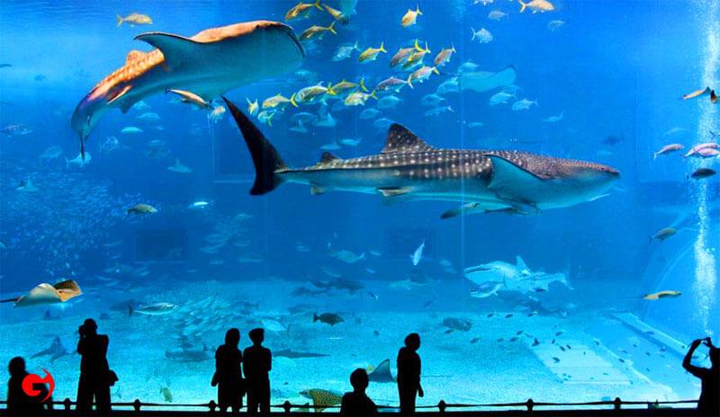 Istanbul Aquarium