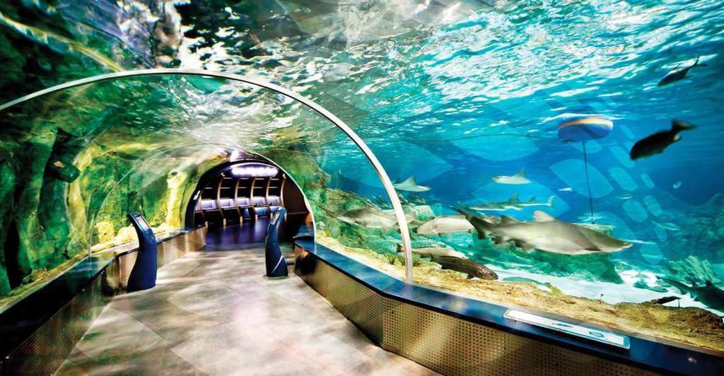 Istanbul By Month - Istanbul in January ( Top Things to Do )