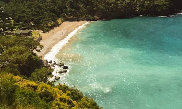 turkey nature