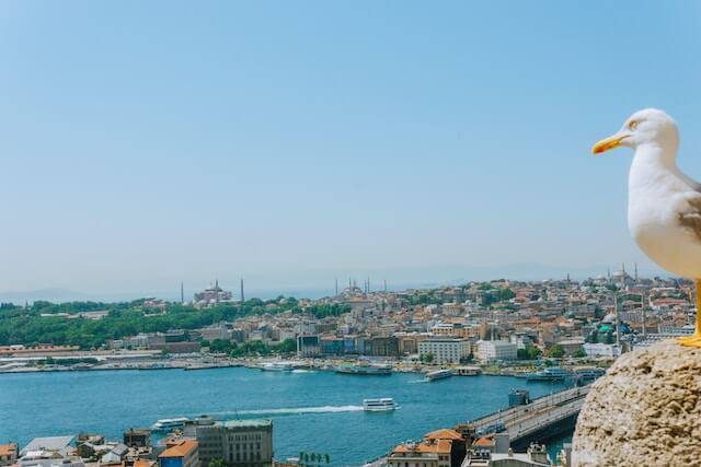 places to live in istanbul