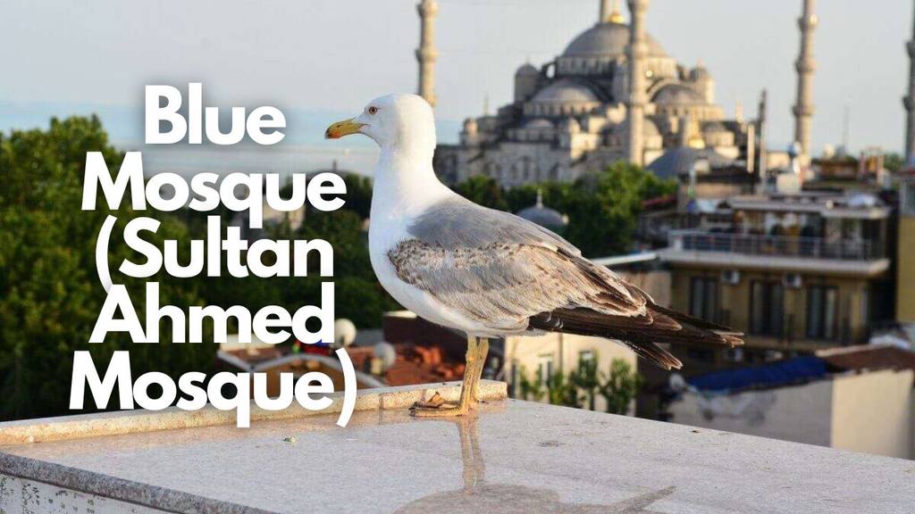 Blue Mosque (Sultan Ahmed Mosque) Information