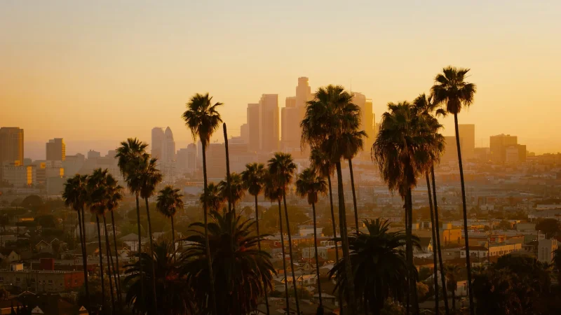 LAX to Istanbul: 4+ Things to Know About Going from Los Angeles to Istanbul 10