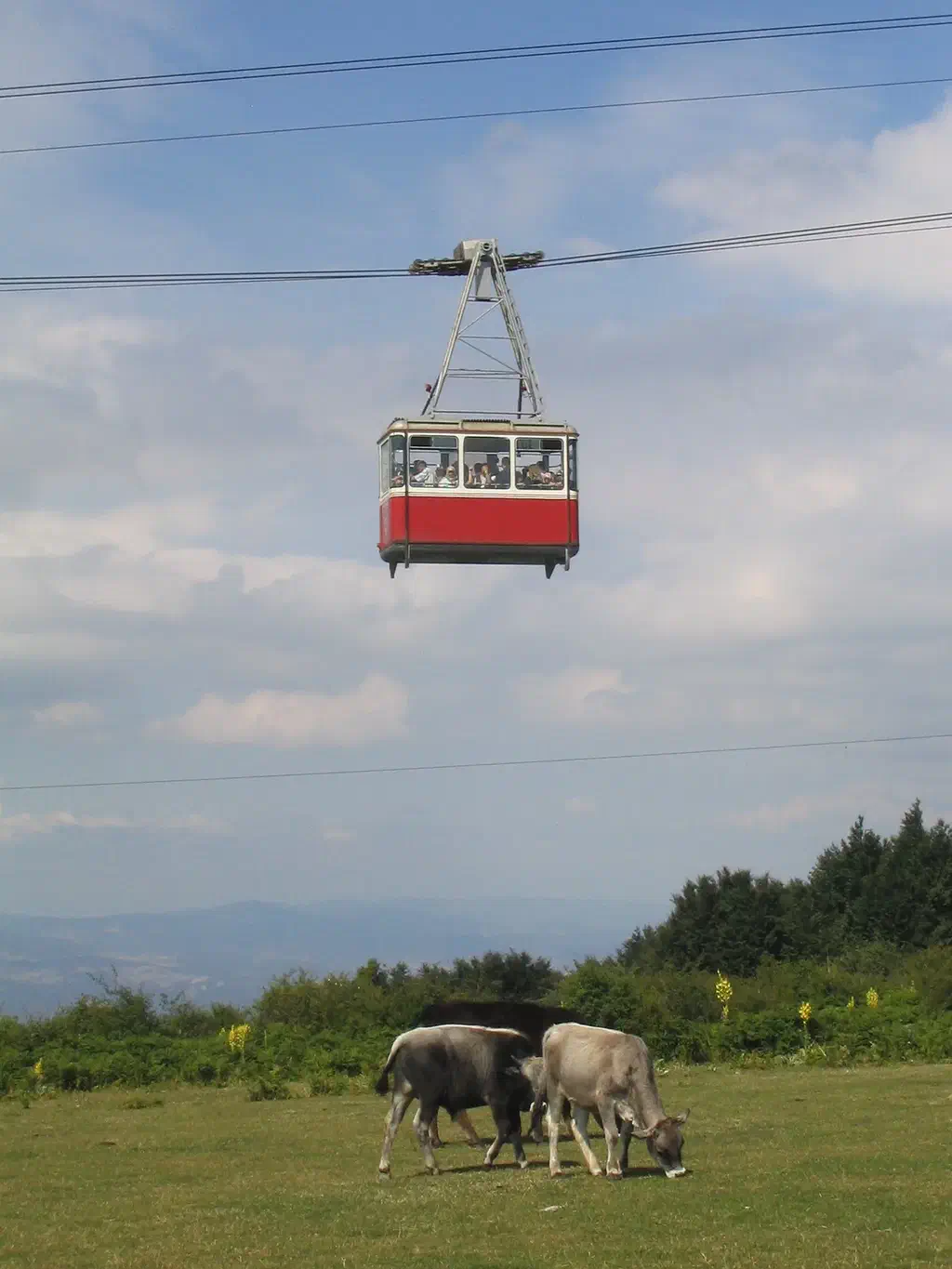 A Bursa Teleferik gondola rising over the forested slopes of Mount Uludağ
